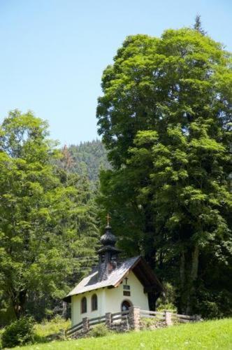 Alpengasthof Almrose Im Heutal 温肯 外观 照片