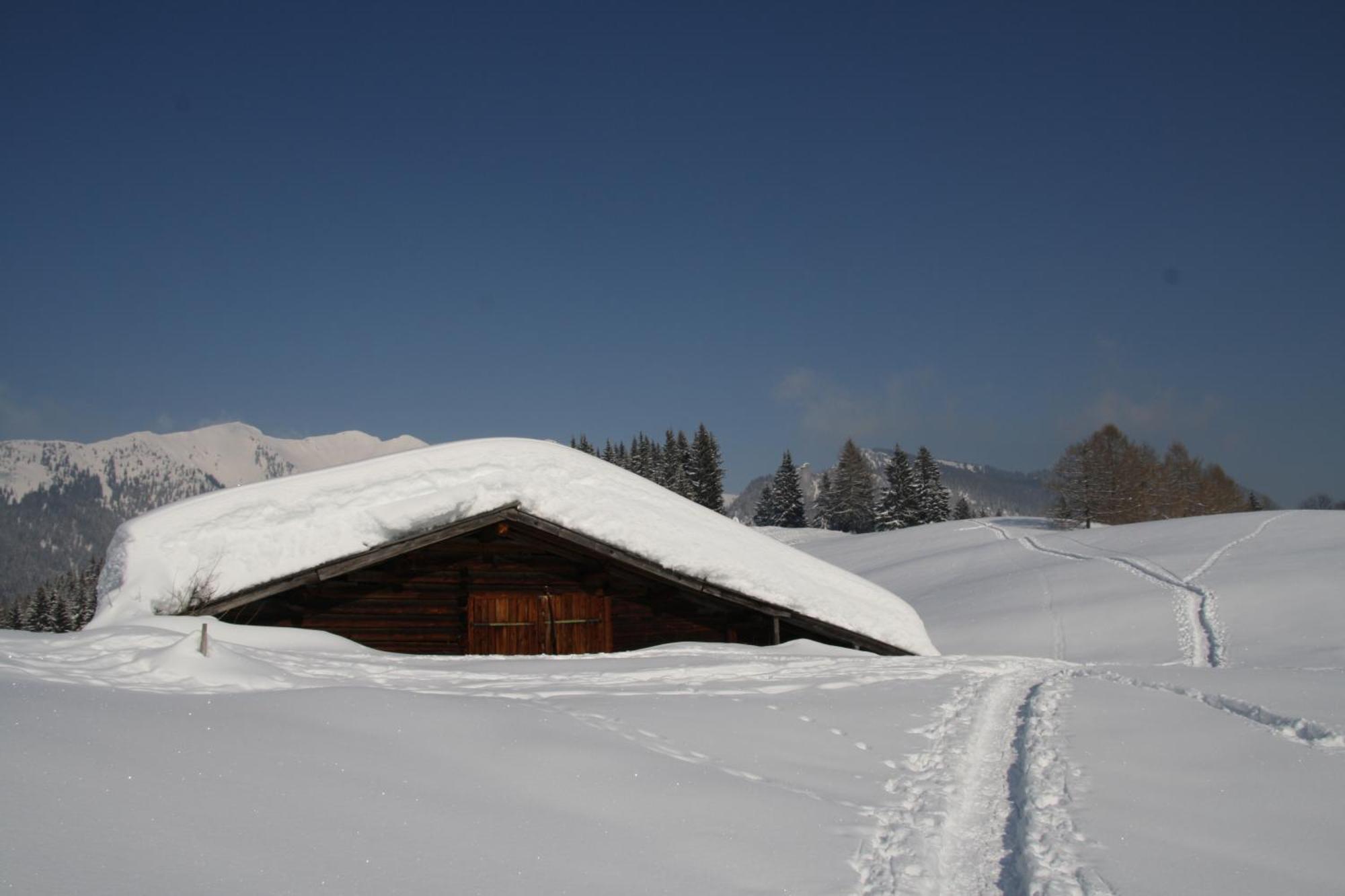 Alpengasthof Almrose Im Heutal 温肯 外观 照片